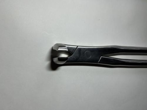 Preview: Forceps S